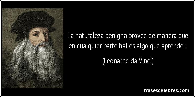 La naturaleza benigna provee de manera que en cualquier parte halles algo que aprender. (Leonardo da Vinci)