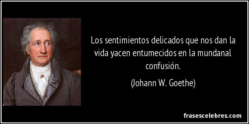 Los sentimientos delicados que nos dan la vida yacen entumecidos en la mundanal confusión. (Johann W. Goethe)