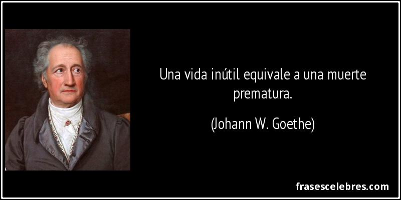 Una vida inútil equivale a una muerte prematura. (Johann W. Goethe)