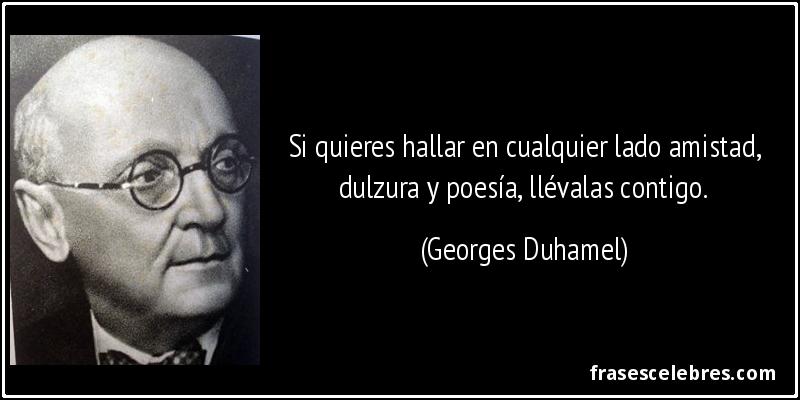 Frase de Amistad: Si quieres hallar en cualquier...