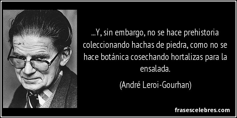 ...Y, sin embargo, no se hace prehistoria coleccionando hachas de piedra, como no se hace botánica cosechando hortalizas para la ensalada. (André Leroi-Gourhan)